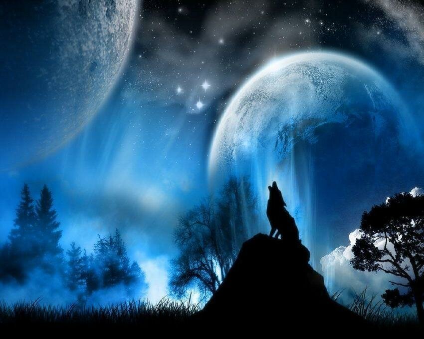 wolf howling at the moon myspace layout