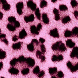 cheetah print background myspace layout