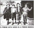 a friend with weed is a friend indeed myspace layout