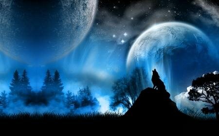 wolf at night myspace layout