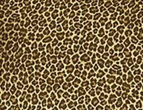 cheetah print7100 myspace layout