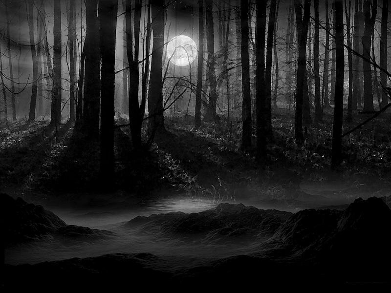 dark forest998 myspace layout