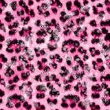 Pink Cheetah Print8880 myspace layout