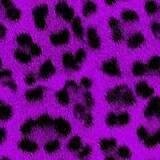 purple animal print myspace layout